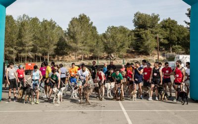 I Edición Canicross Popular en La Nucía Sport Xperience