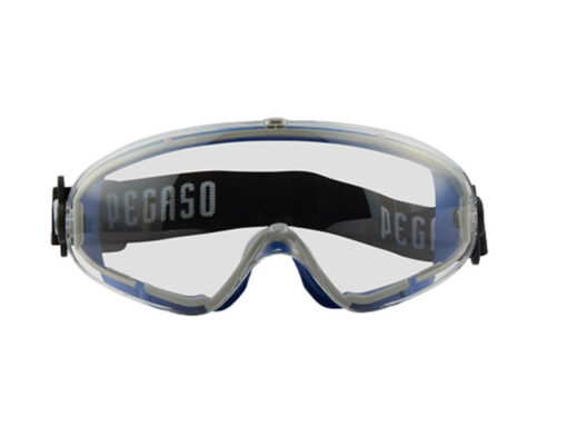 Gafas de protección Pegaso EOS22